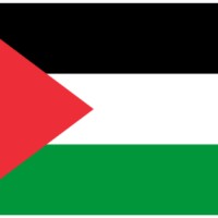 YAT Software Employee Ashraf Sadek's profile photo