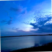 Boxcar Betty's Employee Suzanne Justice's profile photo