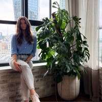 Jack Projects Ltd Employee Miranda Hopkins's profile photo