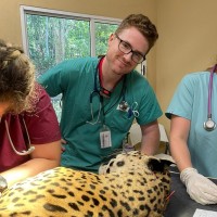 Ellis Wright Email & Phone Number