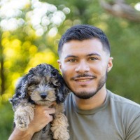 Satflow Employee Dan Hepworth's profile photo