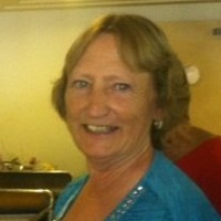 Vicky Carlson Email & Phone Number