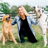 PetVet365 Employee Andrea Johnson's profile photo
