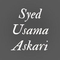 Computer Support Professionals Employee Syed Askari's profile photo