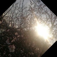 RightOne Employee 福 李's profile photo