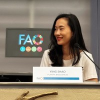 Plantik Employee Ying Shao's profile photo