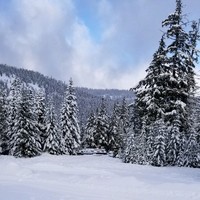 Jeff Gill Email & Phone Number