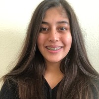 ASIAN AMERICAN FOR COMMUNITY INVOLVEMENT Employee Mina Parwani's profile photo