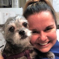 BluePearl Pet Hospital Employee Katie Grzyb's profile photo