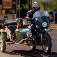 NM Group Employee Austin Luecke's profile photo