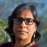 Centre for Science and Environment, New Delhi Employee Vibha Varshney's profile photo