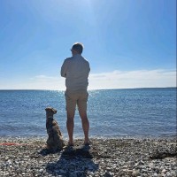 Toelatingsorganisatie Kwaliteitsborging Bouw Employee Henri van der Weerd's profile photo