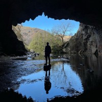 Ryan Daniels's profile photo