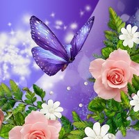 Web Sight Technologies Employee Reshma Raj's profile photo