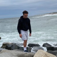 Dante Collinelli Email