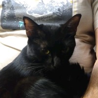 FlyRight Inc. Employee Ted Lafond's profile photo