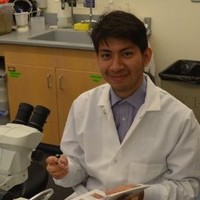 Capstone Energy+ Employee Jose Felix Cruz Ruiz's profile photo