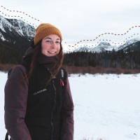 Courtney McNiff Email & Phone Number