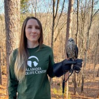 Alabama Wildlife Center Employee Alexis Polinski's profile photo