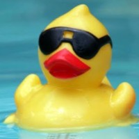 Duck Cunningham Email & Phone Number