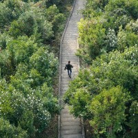 ACLU of Texas Employee David Donatti's profile photo