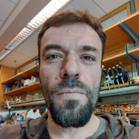 Assen Roguev Email & Phone Number