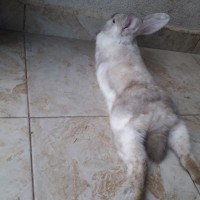 PRADEL Employee José Enrique Jimenez Lopez's profile photo