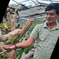 MS Swaminathan Research Foundation Employee Sukumar Renganathan's profile photo