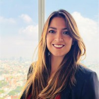 Walmart de México y Centroamérica Employee Norma Chavez Gallardo's profile photo