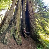 Mad City Windows & Baths Employee Jacob Genova's profile photo