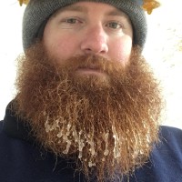 Charles Bush Email & Phone Number