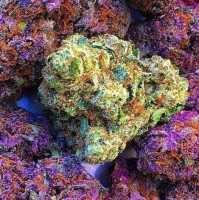 Medical Marijuana, Inc. Employee David Dan's profile photo