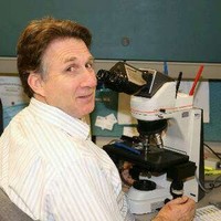 The Permanente Medical Group Employee J Weinstein's profile photo
