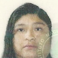 TelMe Farebase Employee Araceli Perez Martinez's profile photo