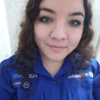 SCI México (Sistemas de Control de Ingeniería S.A. de C.V.) Employee Hillary Pineda's profile photo