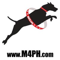 Rick Willard Email & Phone Number