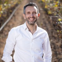 Codorníu Raventós Employee Sergio Fuster's profile photo