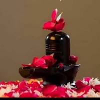 Design N Decorous Employee Kajal Khanna's profile photo