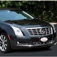 Larry Polite Email & Phone Number