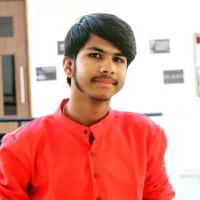 Palash Rokade Email