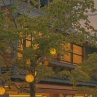 Adobe Employee Wenshi Plum's profile photo