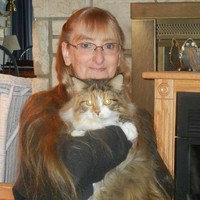Warren County, New York Employee Diane Cronin's profile photo