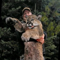 Kings ACE Hardware Employee Skip King's profile photo