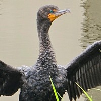 ewc Employee T. Bardi's profile photo