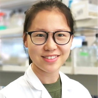 Meng Yang Email & Phone Number