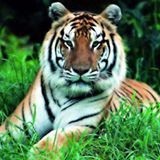 Incsub Employee Puvipavan P's profile photo