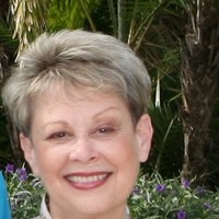 Council on Aging of Martin County Employee Barbara Kaufman's profile photo