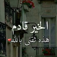 نصرالدين ابراهيم Email