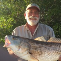 Selling efficiency improvements in the power and LNG market for Air Cooled Steam Employee Gary Mirsky's profile photo