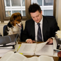 The Humane Society of the United States Employee Ralph Henry's profile photo